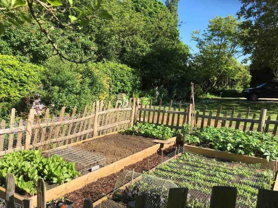 Masons Cottage, An Idyllic Retreat In An Area Of Outstanding Beauty, Close To Blenheim Palace, Oxford & The Cotswolds Stonesfield Esterno foto